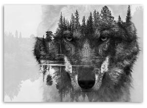 Gario Vászonkép Fekete farkas a háttérben erdő és tó absztrakt Méret: 60 x 40 cm