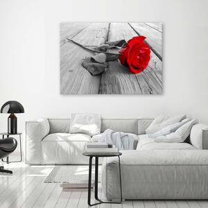 Gario Vászonkép Vörös rózsa Méret: 60 x 40 cm
