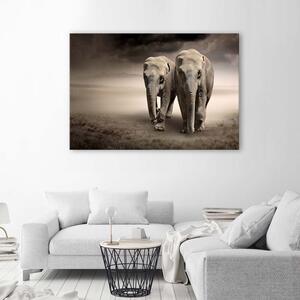 Gario Vászonkép Elefántok a sivatagban Méret: 60 x 40 cm