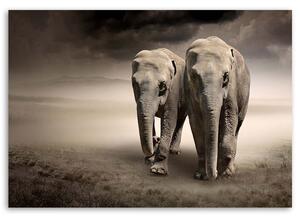 Gario Vászonkép Elefántok a sivatagban Méret: 60 x 40 cm