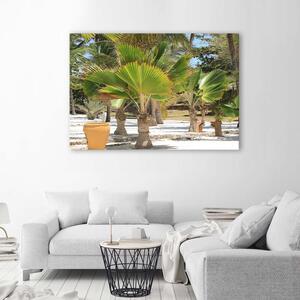 Gario Vászonkép Trópusi fák Méret: 60 x 40 cm