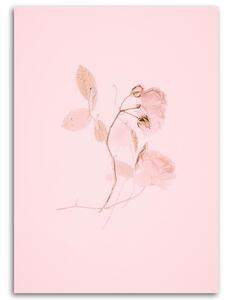 Gario Vászonkép Minimalista rózsaszín virág Méret: 40 x 60 cm