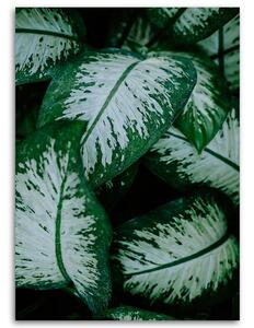 Gario Vászonkép Trópusi levelek fehér és zöld Méret: 40 x 60 cm