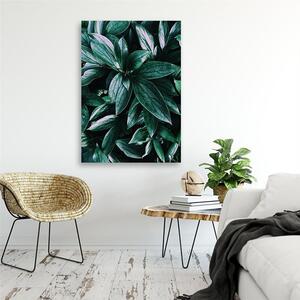 Gario Vászonkép Trópusi növény levelei Méret: 40 x 60 cm