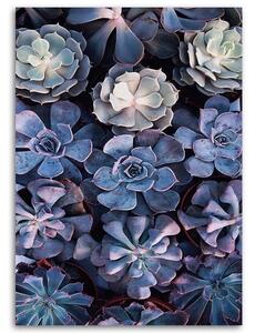 Gario Vászonkép Skandináv virágok Méret: 40 x 60 cm