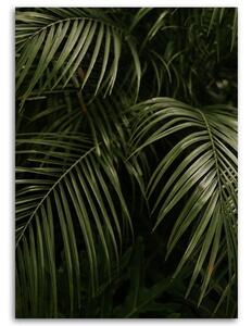 Gario Vászonkép Zöld pálmalevelek Méret: 40 x 60 cm