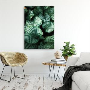 Gario Vászonkép Trópusi levelek Méret: 40 x 60 cm