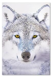 Gario Vászonkép Fehér farkas a hóban Méret: 40 x 60 cm