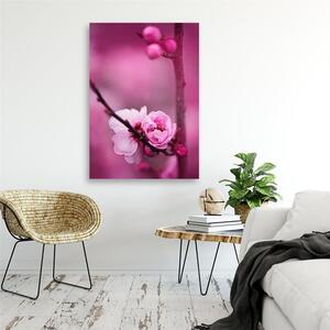 Gario Vászonkép Rózsaszín virág és bimbó egy ágon Méret: 40 x 60 cm
