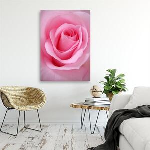 Gario Vászonkép Rózsaszín rózsaszirmok Méret: 40 x 60 cm