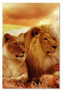 Gario Vászonkép Oroszlánkirály és oroszlánlány Méret: 40 x 60 cm