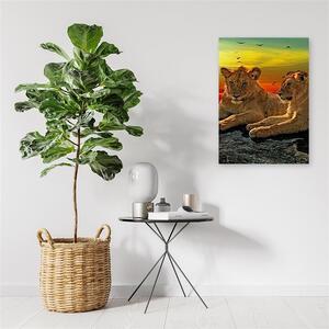 Gario Vászonkép Oroszlánok a szavannán Méret: 40 x 60 cm