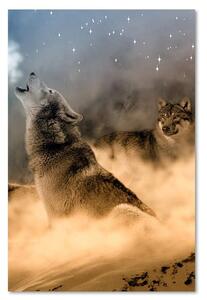 Gario Vászonkép Két farkas üvölt éjszaka a holdra Méret: 40 x 60 cm