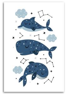 Gario Vászonkép Boldog bálnák Méret: 40 x 60 cm