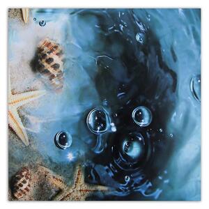 Gario Vászonkép Kagylók kék vízben Méret: 30 x 30 cm