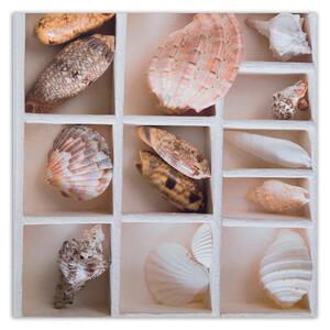 Gario Vászonkép Válogatott kagylók egy dobozban Méret: 30 x 30 cm