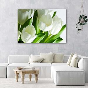 Gario Vászonkép Fehér tulipánok Méret: 60 x 40 cm