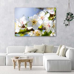 Gario Vászonkép Virágzó ág Méret: 60 x 40 cm