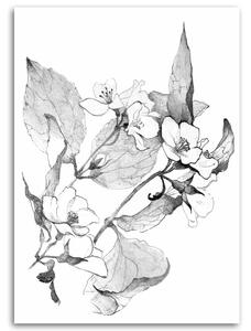 Gario Vászonkép Virágzó gallyak Méret: 40 x 60 cm