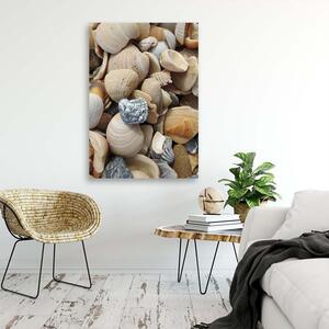 Gario Vászonkép Kagylók és kövek a tengerparton Méret: 40 x 60 cm
