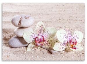 Gario Vászonkép Orchidea és kövek a homokon Méret: 60 x 40 cm