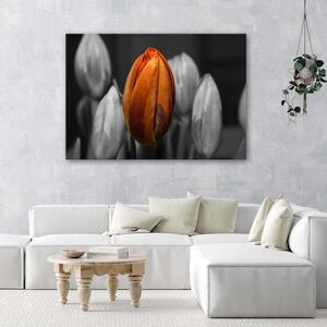 Gario Vászonkép Narancssárga tulipán Méret: 60 x 40 cm