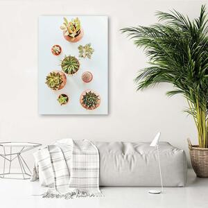 Gario Vászonkép Növények cserépben Méret: 40 x 60 cm