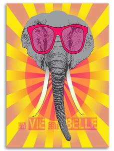 Gario Vászonkép Szemüveges elefánt Méret: 40 x 60 cm