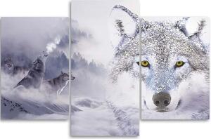 Gario Vászonkép Fehér farkas a hegyek elott - 3 részes Méret: 60 x 40 cm