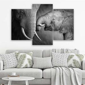 Gario Vászonkép Elefánt család - 3 részes Méret: 60 x 40 cm