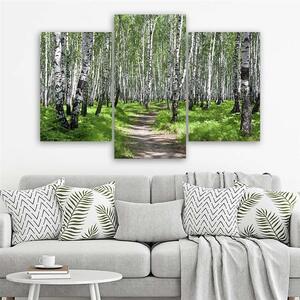 Gario Vászonkép Nyírfa erdő - 3 részes Méret: 60 x 40 cm