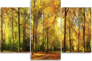Gario Vászonkép Osz az erdőben - 3 részes Méret: 60 x 40 cm