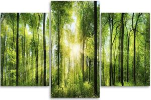 Gario Vászonkép Napsugarak a zöld erdőben - 3 részes Méret: 60 x 40 cm