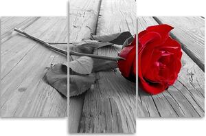 Gario Vászonkép Vörös rózsa - 3 részes Méret: 60 x 40 cm