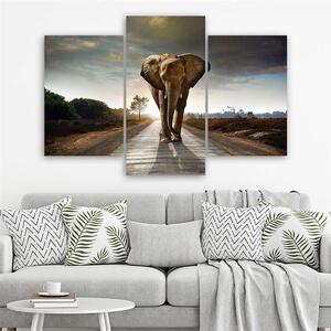 Gario Vászonkép Vándorló elefánt az úton - 3 részes Méret: 60 x 40 cm