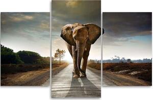 Gario Vászonkép Vándorló elefánt az úton - 3 részes Méret: 60 x 40 cm