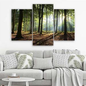 Gario Vászonkép Napsugarak az erdőben - 3 részes Méret: 60 x 40 cm