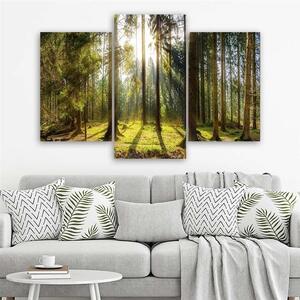 Gario Vászonkép Egy napsütéses nap az erdőben - 3 részes Méret: 60 x 40 cm