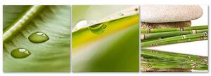 Gario Vászonképek készlet Zen levelek harmatcseppekkel - 3 részes Méret: 90 x 30 cm