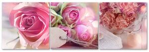 Gario Vászonképek készlet 3 rózsaszín rózsa - 3 részes Méret: 90 x 30 cm