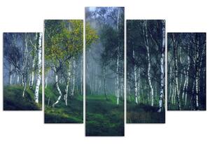 Gario Vászonkép Nyírfák a ködben - 5 részes Méret: 100 x 70 cm