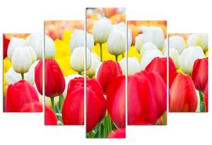 Gario Vászonkép Fehér és piros tulipánok - 5 részes Méret: 100 x 70 cm