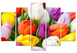 Gario Vászonkép Színes tulipánok - 5 részes Méret: 100 x 70 cm