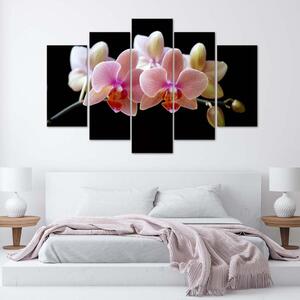 Gario Vászonkép Rózsaszín orchidea - 5 részes Méret: 100 x 70 cm