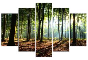 Gario Vászonkép Napsugarak az erdőben - 5 részes Méret: 100 x 70 cm