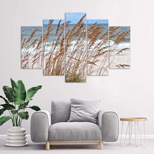 Gario Vászonkép Nádas a tengerparton - 5 részes Méret: 100 x 70 cm