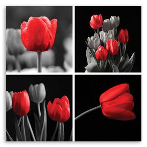 Gario Vászonkép Piros tulipánok készlete Méret: 30 x 30 cm