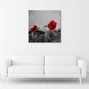Gario Vászonkép Vörös pipacsok és gabona Méret: 30 x 30 cm