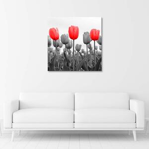 Gario Vászonkép Piros tulipánok a réten Méret: 30 x 30 cm