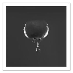 Gario Vászonkép Paradicsom és vízcseppek - fekete-fehér Méret: 30 x 30 cm